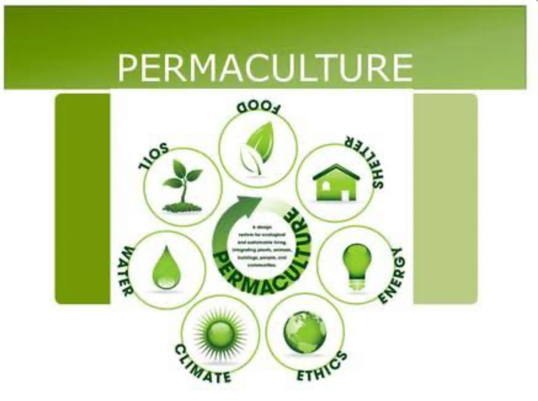 Best Practices in Sustainability - Permaculture  